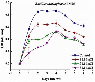 Bacillus thuringiensis PM25 ameliorates oxidative damage of salinity stress in maize via regulating growth, leaf pigments, antioxidant defense system, and stress responsive gene expression